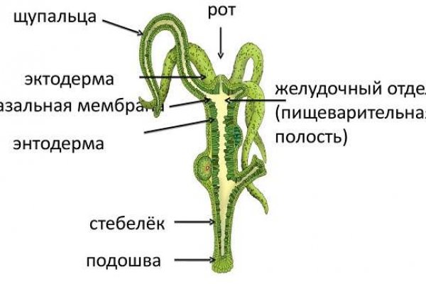 Kraken зарегистрироваться