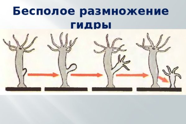 Можно ли зайти на кракен через обычный браузер