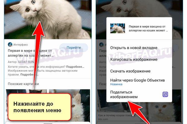 Кракен что можно купить